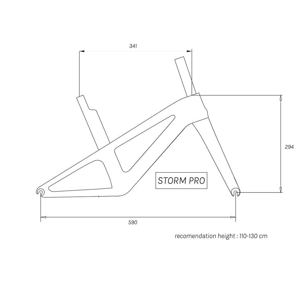 PAPA BIKE Storm Pro Carbon Fiber Frame