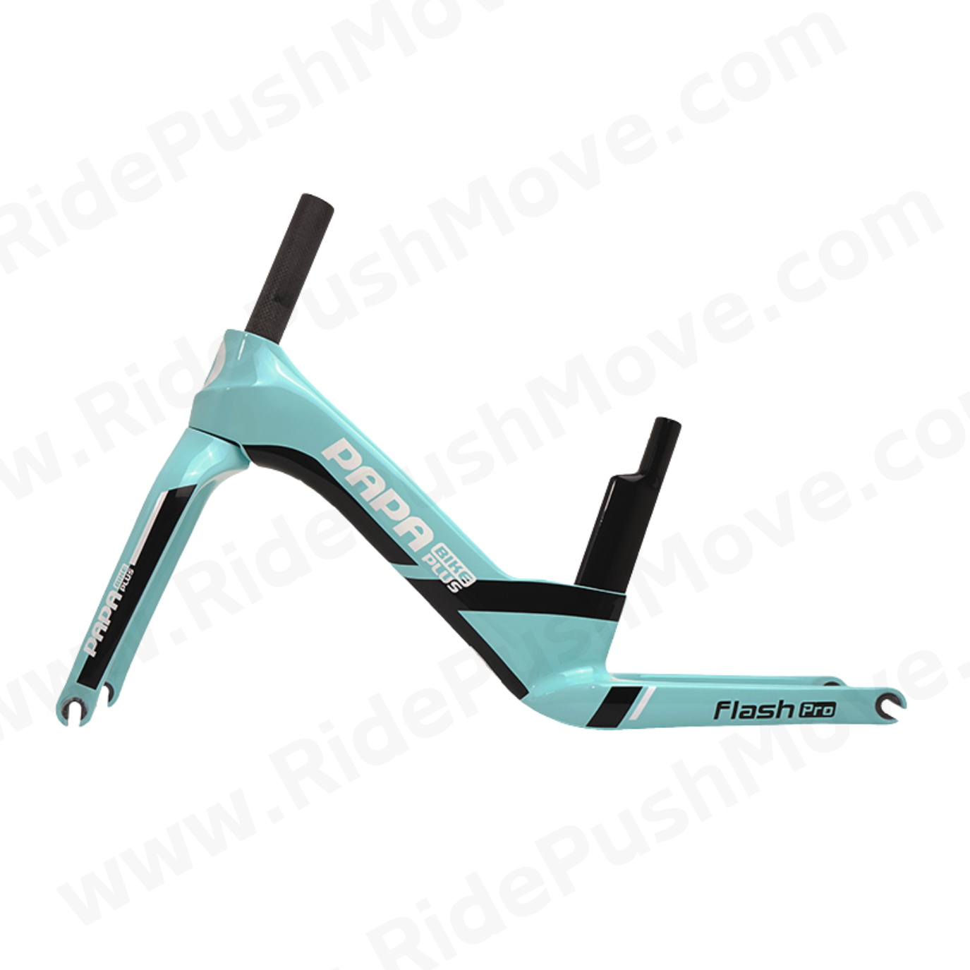 PAPA BIKE Flash Pro Carbon Fiber Frame