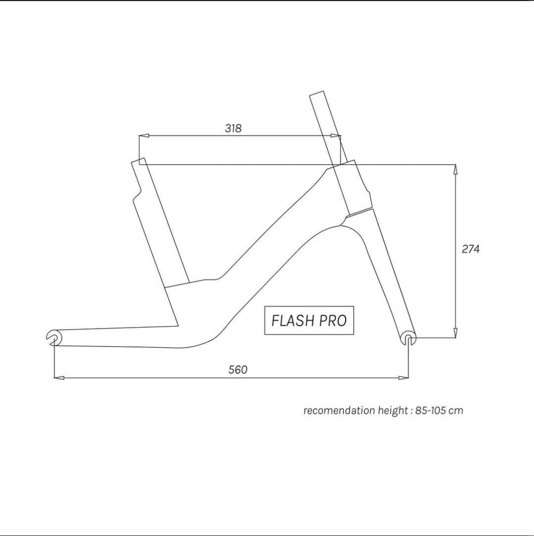 PAPA BIKE Flash Pro Carbon Fiber Frame